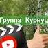 Группа Курнуц Белая береза курнуц Curnut дворовые