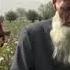 Октябр чамъоварии хосили пахта Восеъ
