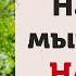 Нападение на мышление