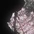 NEON BLXDE Zov Silence Russian Edits Neon Blade Phonk