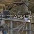 ВСЕ СТАБИЛЬНО