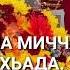 Декъал йо дейиш