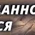 ВОТ КТО НЕОЖИДАННО ПОЯВИТСЯ СКОРО
