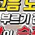 노래 부를때 이건 제발 하지마세요 버블디아 발성