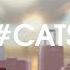 C A T S Crash Arena Turbo Stars I Can Fly Epic Moment CATS