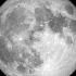 Max Richter Dream 3 In The Midst Of My Life Official Video