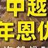越南通史04 三场越战时期