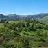 Can Gedebey