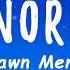 Shawn Mendes Camila Cabello Señorita Lyrics