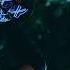 GENESI Everything You Have Done Meduza Edit