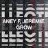 Aney F Jerëmie Grow Extended Mix
