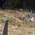 Pakistan Army Shoots Down Indian Drone Over Line Of Control For Violating Airspace