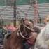 Horse Wrestling At World Nomad Games 2014
