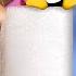 Dear Veronica Picking Your Penguin