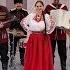 Кубань гармонь ансамбль Славица