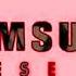REUPLOAD Samsung Logo History 2001 2009 In Phased Effect 2 0