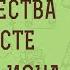 ПРОРОК ИОНА ПРОРОЧЕСТВА О ХРИСТЕ Дмитрий Георгиевич Добыкин
