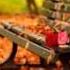Autumn Leaves
