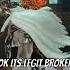 2 1B YARELI ONE SHOT Warframe Shorts