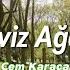 Cem Karaca Ceviz Ağacı Lyrics Şarkı Sözleri