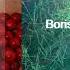 Boris Brejcha Feat Ginger Spicy Original Mix Ultra