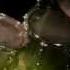 Touch Too Much Instrumental Version Collaboration HD