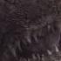 Godzilla Vs Kong Kong Save Godzilla Scene Yongcanbgm Bgm Godzillavskong Bgm Youtube Song