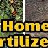 Unlock The Magic Of Homemade Fertilizers 8 Simple Recipes That Work Like Spells