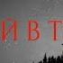 СТРАШНЫЕ ИСТОРИИ НА НОЧЬ ЖДУЩИЙ В ТЕМНОТЕ