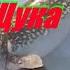 Диалоги о рыбалке 002 Ахтуба Зима Щука