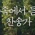 숲속에서 듣는 피아노 찬양 아침 묵상을 위한 CCM 피아노 가사 있음 3시간