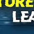 How To Make Future House Lead Like Steff Da Campo Under 2 Minutes Serum Tutorial
