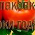 Семена Не верьте срокам годности семян на упаковке