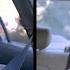 Lazy Lovers Auto Thrusting Hydraulic Sex Girdle NSFW The Kloons