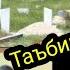 Таъбири хоб Карз дар хоб Хамдарди дар хоб Кабристон дар хоб Чехра дар хоб Чарогаки рохнамо дар хоб