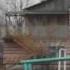 Девушка поёт свою песню о родном селе