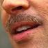 Brad Pitt S Opening Speech Inglourious Basterds Screen Bites