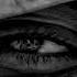 Guy Mantzur Trees Of Eden Original Mix YouTube 360p