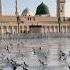 Ya Nabi Salam Alaika
