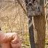 Don T Make These Top Five Trail Camera Mistakes