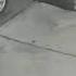 Shocking Video Shows Woman Casually Walk Up To Another Woman Shoot Her In Head ABC7