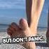 Stung By A Jellyfish Try This Beach Summer Survival