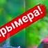 Алишер Давлатов Дарди Чудои Alisher Davlatov Dardi Judoi