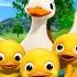 10 Little Ducks More Nursery Rhymes And Kids Songs Little Baby Bum