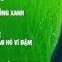 Liên Khúc Nắng Ấm Quê Hương Câu Đợi Câu Chờ Top Bài Hát Trữ Tình Quê Hương Được Nghe Nhiều Nhất