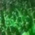 夢見る少女じゃいられない GIG2005