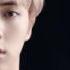 BTS Blood Sweat Tears MV Explanation Demian By Hermann Hesse