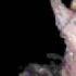 S Barber Sleep Now Op 10 N 2 Baritono Federico Giubilei Piano Agnese Gatto
