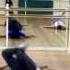 Divinyls I TOUCH MYSELF Class Choreography
