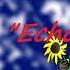 Jason Walker Echo Lyrics Video